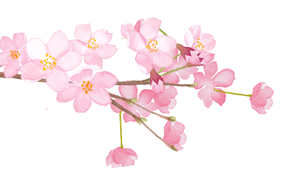 桜